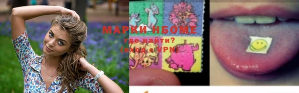 mdpv Заводоуковск