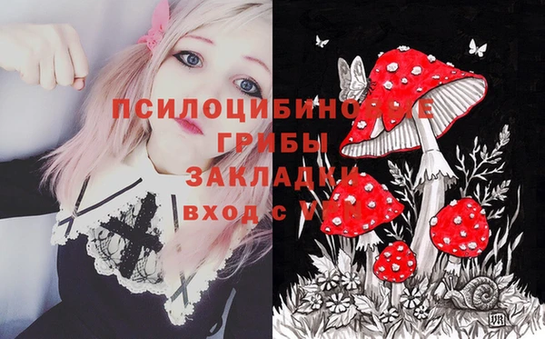 мескалин Заволжье